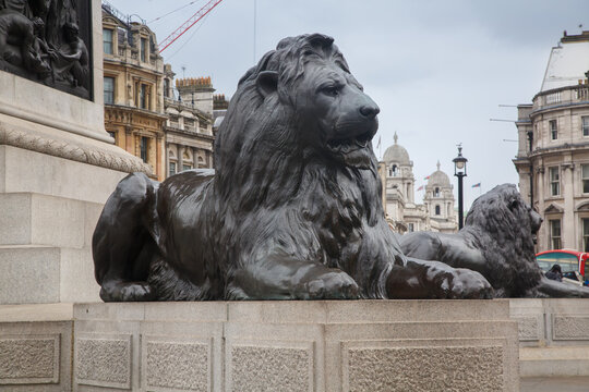 Lions scultpures at the base of Nelsons Column in Trafalgar Square, city of London, England
