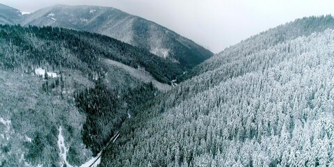 Fantastic beautiful snow hills in mountain with green trees