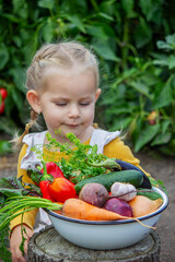 A little girl holds a large bowl of freshly picked, organic vegetables from the garden.