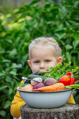 A little girl holds a large bowl of freshly picked, organic vegetables from the garden.