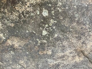 Close-up shot of a rough, textured stone surface. The image showcases the natural grain and imperfections of the rock