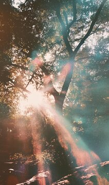 Transparent light leak ovely effect. Transparent fil grain light leak texture verly effect.