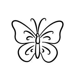 butterfly vector illustration