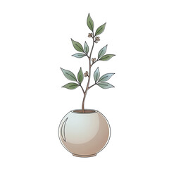 Delicate Green Branch With Leaves In A Round Light Brown Pot Isolated On A Transparent Background