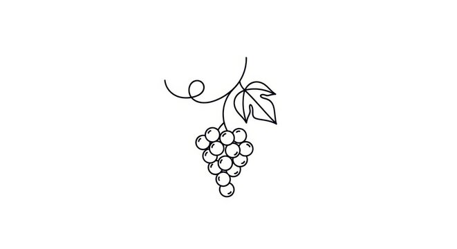 Stylized grape vine illustration with delicate lines creates elegant simplicity