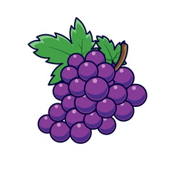 bunch of grapes