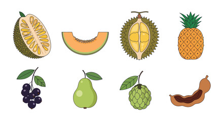 Assortment of fresh tropical fruits illustration for design elements
