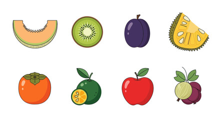 Assortment of various fresh fruits with outlines on white background