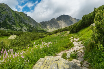 Obraz premium Scenic stone footpath on the hiking trail leading to Popradske Pleso lake in the High Tatras National Park, Slovakia.