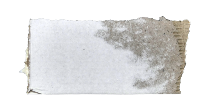 Brown and white corrugated kraft paper torn into pieces in transparent background png