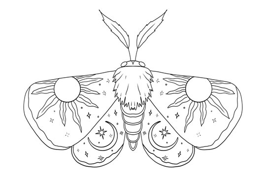 Celestial moth, butterfly line with sun and moon on wings magic mystical tattoo. Universe wing moth. Celestial occult moon sketch. Line animal drawing design. Esoteric totem boho insect 