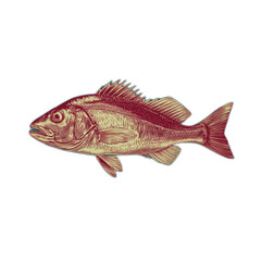 Detailed Illustration of a Single Fish Icon Isolated on a Contrasting Background for Use in Various Design Projects