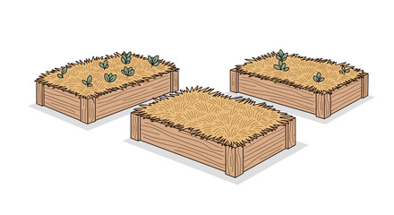 Raised garden beds with straw and various plants in garden setting  