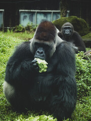 台北市立動物園
