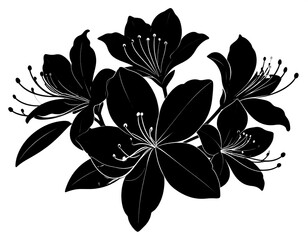 Black and white floral illustration showcasing azalea blossoms in detailed line art