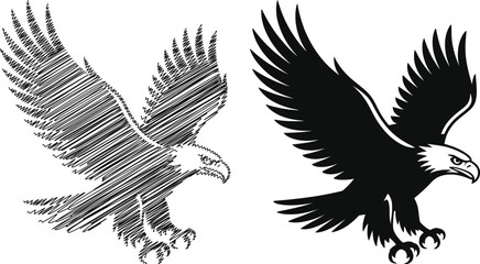 Obraz premium Eagle sketch and silhouette on white background