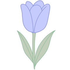 Tulip &ndash; Blue