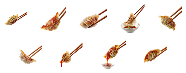 delicious Japanese dumplings Gyoza isolated.