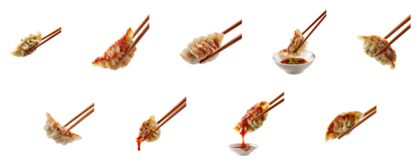 delicious Japanese dumplings Gyoza isolated.