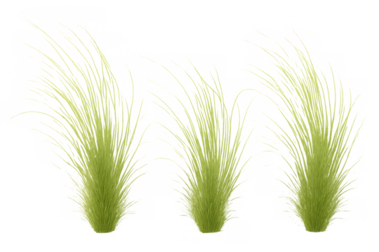 Green grass tufts vector illustration creating a fresh nature background element for design projects on transparent