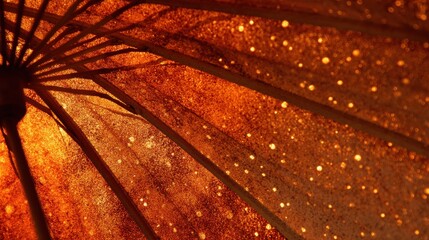 Fototapeta premium Underside of an orange umbrella with illuminated highlights