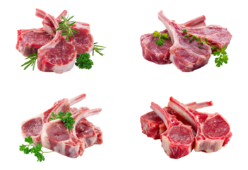 Fresh raw lamb rips set isolated.