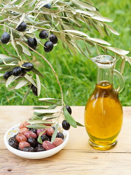 Olive oil and olive branch