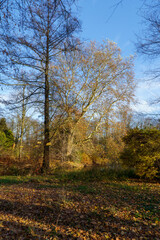 Park Pszczyna ze śląskiego rodu Promnitzów