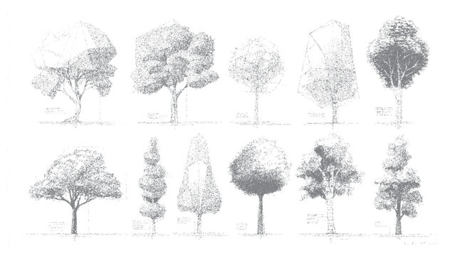 Collection of ten diverse grey stippled trees with varied shapes and sizes on a white background nature