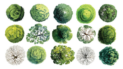 Obraz na płótnie Canvas Collection of fifteen diverse green and bare trees viewed from directly above in a top down perspective with varied foliage textures and branch structures