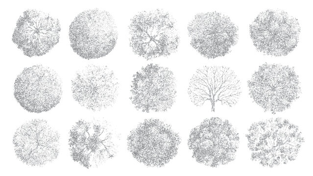 Fifteen top down view illustrations of various trees rendered in grey stippling on a white background