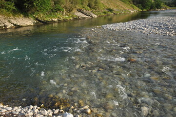 Clear river flows over smooth stones in a serene natural landscape during the daytime