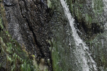 Water cascades down a rocky cliff covered in moss during a sunny afternoon in nature