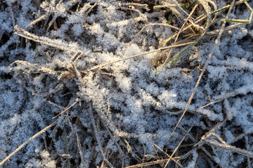 Early winter scene with grass covered in the first frost. Signs of freezing temperatures and seasonal change at the beginning of winter
