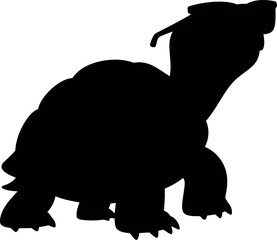 Graduation turtle silhouette
