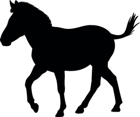 Black horse silhouette walking isolated