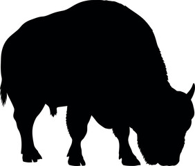Bison silhouette grazing black white vector
