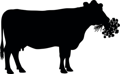 Cow silhouette eating snowflake