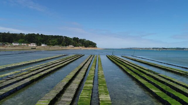Huitres &agrave; Cleder, drone