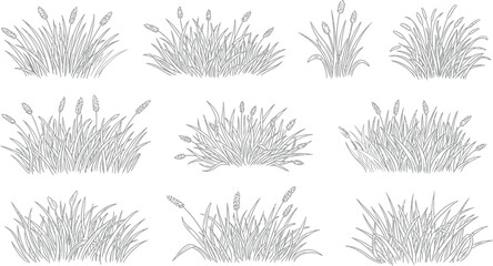 Vector Illustration of Diverse Grass Clumps Silhouettes Set for Nature, Garden, and Outdoor Design Elements