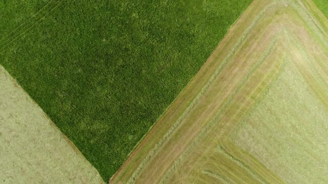 Field drone