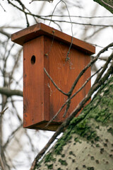 Birdhouse hanging on a tree branch in a quiet outdoor setting during early spring
