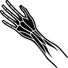 Obraz premium Adobe Illustrator Artwork