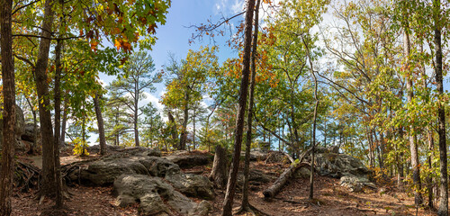 View along the Trail Through Time hiking path at the Pickle Springs Natural Area in New Offenburg, MO close to Hawn State Park