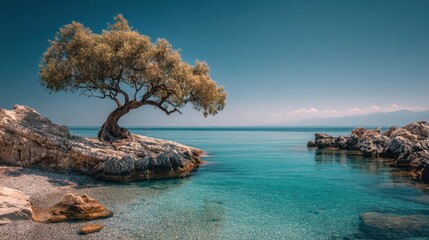 Lone tree stands on rocky coast against tranquil sea and pink sky at sunset, creating a serene and picturesque seascape