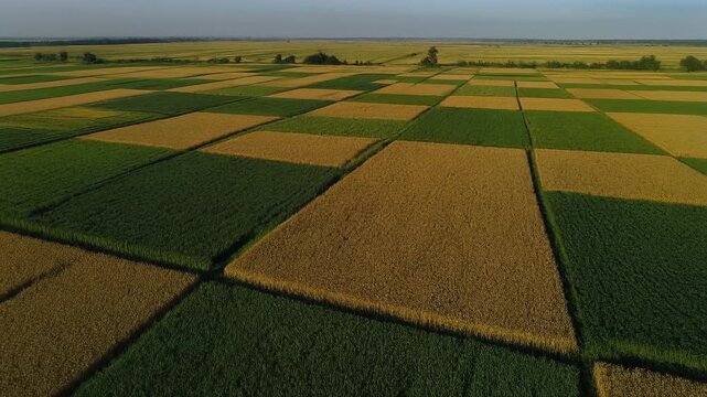High altitude view floating over endless agricultural fields forming repeating geometric patchwork patterns