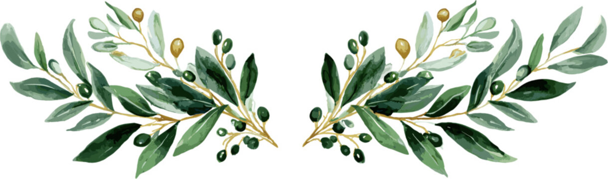 a set of symmetrical watercolor decorations of olive branches and mistletoe berries, vector illustration