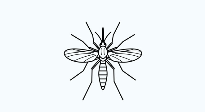Clean black and white line art illustration of a mosquito, shown from a top-down view with wings and legs extended, ideal for educational diagrams.