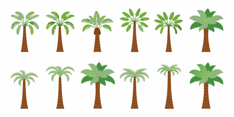 Fototapeta premium Collection of diverse tropical palm tree illustrations