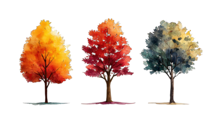Three colorful trees showcase vibrant autumn foliage in shades of yellow, orange, red, and green, each with distinct characteristics.